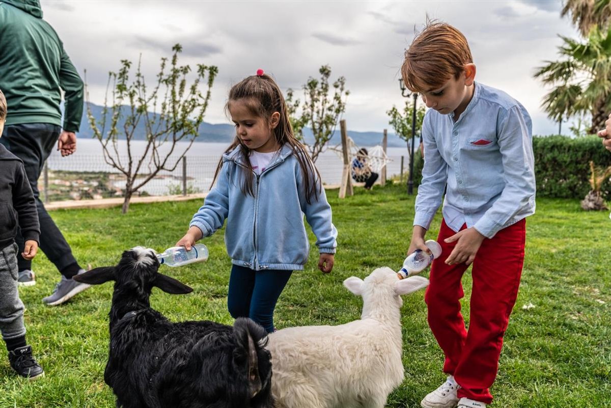 Assos Alis Farm Boutique Hotel & SPA