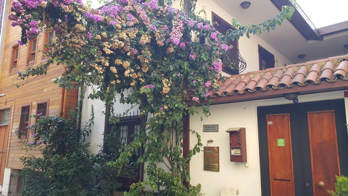 Villa Sphendone Suites