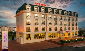 Anemon Diyarbakır